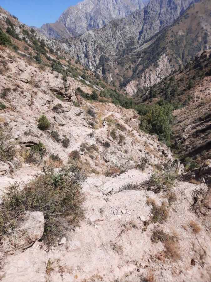 Зона Отдых Apachi В Горах Чимган Ξενοδοχείο Εξωτερικό φωτογραφία