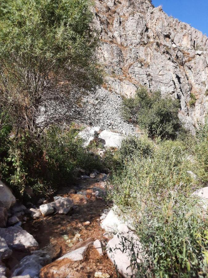 Зона Отдых Apachi В Горах Чимган Ξενοδοχείο Εξωτερικό φωτογραφία