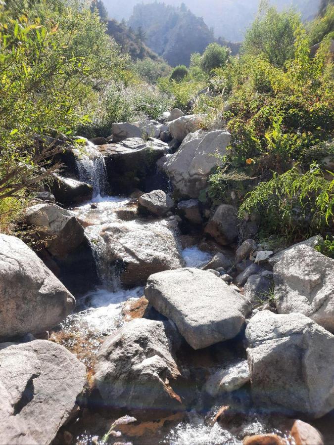 Зона Отдых Apachi В Горах Чимган Ξενοδοχείο Εξωτερικό φωτογραφία